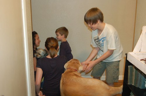 The kids were so excited to see the dogs...and they were super excited to see the kids too!