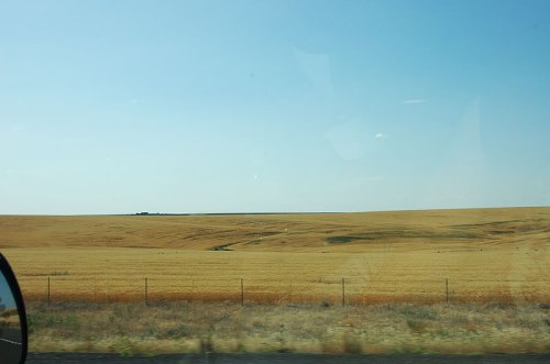 We're not in Kansas anymore...but it sure looks like it! Or at least what we thought Kansas would look like....but this is eastern Washington.
